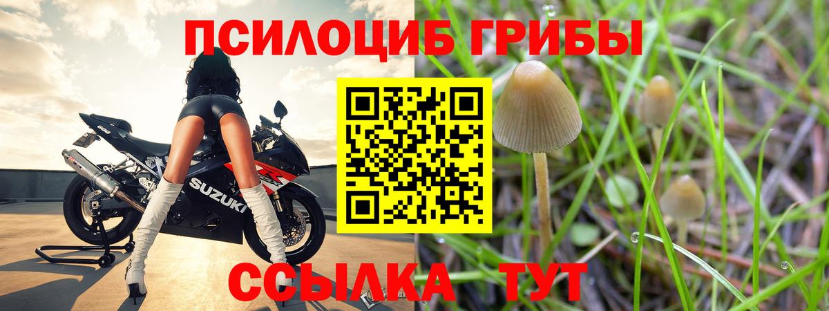 Галлюциногенные грибы мицелий Черняховск